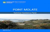 POINT MOLATE · Point Molate has a variety of geologic features, including sloping hills and a small beach area with some public amenities. The southernmost beach area, Point Molate