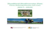 Headford Biodiversity Plan€¦ · Plan, it is to complement the County Galway Biodiversity Plan, and comply with our National Biodiversity Action Plan 2017-2021, which aims, amongst