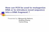 | SIU School of Medicine - How can PCR be used to mutagenize …bbartholomew/PCR.pdf · 2007. 9. 6. · Scientific Publishers Limited,2000) pp.89-92,174-177. • Bruce Korf, New England