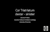 Cor Triatriatum dexter - sinistrer · Cor triatriatum - sinister •Timing of presentation depends on the size of the communication between the accessory chamber and the distal LA,
