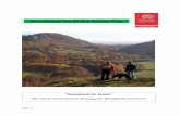 Woodlands for Wales Action Plan · Wales” Themes and Outcomes are, together with the Vision, set out at Annex 1. 6. This Action Plan is designed to set out the short-term actions