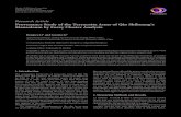 Research Article Provenance Study of the Terracotta Army of ...downloads.hindawi.com/journals/afs/2015/247069.pdfResearch Article Provenance Study of the Terracotta Army of Qin Shihuang