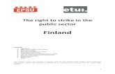 Finland - EPSU · Finland, dated 21 August 1998, the country recognises the right of any representative national non-governmental organisation within its jurisdiction, which has particular