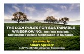 THE LODI RULES FOR SUSTAINABLE WINEGROWING: The …wineconferenceaugust07.ucdavis.edu/presentations/lodi-rules-brief-2006.pdfEco Labels Come in Different Forms ... Grower committee