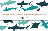 IMPLEMENTING CITES LISTINGS OF SHARKS AND MANTA RAYS … · 2015. 6. 29. · IMPLEMENTATION OF CITES FOR TRADE IN SHARKS AND MANTA RAYS INCLUDED IN APPENDIX II At its 16th meeting