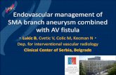 Endovascular management of SMA branch aneurysm combined ... · Endovascular management of SMA aneurysm combined with AV fistula; Lukić B, Cvetić V, Colic M, Kecman N Background