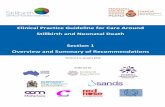 Clinical Practice Guideline for Care Around Stillbirth and ... … · Clinical Practice Guideline for Care Around Stillbirth and Neonatal Death Section 1 Overview and Summary of Recommendations