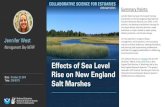 Summary Points Brief... · Salt Marsh Response & Resilience to Changing Conditions: Prospects for Management ... This workshop served as a special symposium for the NEERS Spring Meeting,