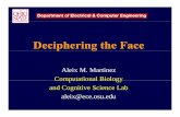 Deciphering the Faceclopinet.com/isabelle/Projects/CVPR2011/slides/aleix.pdfAleix M. Martinez Computational BiologyComputational Biology and Cognitive Science Lab ali@ dleix@ece.osu.edu.