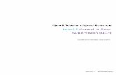 Spec template - QCF Door Supervisors V3 Revised CH and HD · 2013. 6. 28. · The SIA has stated that the training, delivery and assessment of the Level 2 Award in Door Supervision