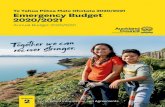 Emergency Budget 2020/2021 volume 2 · 7 Albert-Eden Local Board 9 Devonport-Takapuna Local Board 17 Henderson-Massey Local Board 25 Aotea/Great Barrier Local Board 13 Hibiscus and