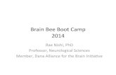 Brain&Bee&BootCamp& 2014 · 2014. 1. 12. · VermontBrain&Bee&2014& • SatFeb&8&UVMCollege&of&Medicine& • MedEd&200&(enter&through&HSRF/Given)& • Prelim&Round&1:&WriVen&quiz