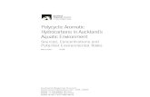 Polycyclic Aromatic Hydrocarbons in Auckland’s Aquatic ... · Polycyclic Aromatic Hydrocarbons in Auckland’s Aquatic Environment: Sources, Levels and Environmental Risks 2 evidence