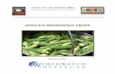 NtP Africa's Indigenous Crops LM finalthegreentimes.co.za/wp-content/uploads/2016/03/NtP... · Africa’sIndigenousCrops% %%%%% % % % % % %%%%%4) Baobab% Mother)of)the)Sahel% The)basic)needs)for)human)survival)include)food,)water,andshelter.)Baobab,)a)tree