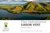 Plan Opérationnel Gabon Vert - undp.org documents/Fren… · L’économie verte s’annonce, en effet, ... décline l’approche et les projets prévus pour promouvoir et encadrer