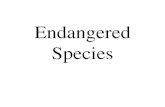 Endangered Species - Sewanhaka High School · 2016. 10. 3. · Endangered Species Author: Unknown User Created Date: 10/3/2016 4:45:43 PM ...