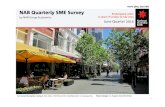 NAB Quarterly SME Survey Embargoed until: by NAB Group ... · Within the SME space, low-tier firms continued to report signif icantly weaker conditions relative to the mid and high-tier