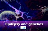Epilepsy and genetics - Vizsla Health · Idiopathic epilepsy • Definition –unknown cause other than possible hereditary predisposition; not in consequence of some other disease
