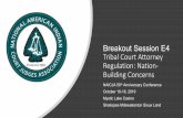 Breakout Session E4 Tribal Court Attorney Regulation: Nation ......2019/07/03  · (Creek) Nation Bar and Attorney Professional Conduct. Muscogee Bar •333 licensed attorneys as of