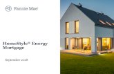 HomeStyle Energy Mortgage...Overview The HomeStyle Energy mortgage allows homebuyers or homeowners to include energy and water efficiency improvements and/or disaster resiliency updates