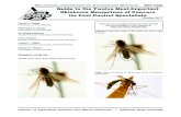 Guide to the Twelve Most-Important Oklahoma Mosquitoes of Concern for Pest Control Specialistspods.dasnr.okstate.edu/docushare/dsweb/Get/Document-10840/EPP-7335web.… · Removal