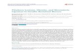 Pituitary Lesions, Obesity, and Mesenteric Lipomas in ... · insulin sensitivity via the insulin-modified, frequently-sampled intravenous glucose tolerance test (FSIGTT) [5]. ...