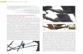 Nesting of Asian Brown Flycatcher Muscicapa dauurica in ...indianbirds.in/pdfs/IB_15_3_Mohan_Muralidhar_AsianBrownFlycatche… · Adithi Muralidhar Indian BIRDS Vol. 15 No. 3 (Publ.