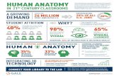GCT18432959 HUMAN ANATOMY INFOGRAPHIC 10 3 17...HUMAN ANATOMY IN 21ST CENTURY CLASSROOMS STUDENT ATTRITION Technology that incorporates visualization and interactive tools are essential