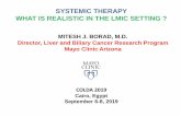 SYSTEMIC THERAPY WHAT IS REALISTIC IN THE LMIC SETTINGregist2.virology-education.com/presentations/2019/COLDA/08_Borad.… · J Bruix, P Merle, A Granito, Y-H Huang, G Bodoky, O Yokosuka,