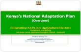 Kenya's National Adaptation Plan...4.Enhance synergies between adaptation and mitigation actions in order to attain a low carbon climate resilient economy; and 5.Enhance resilience