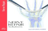 Nerve Repair Solutions - collagenmatrix.comcollagenmatrix.com/wp-content/uploads/2019/07/... · NERVE REPAIR Nerve Repair Spine Dural Repair Dental Nerve Repair Orthopaedic ... MAXIMUM