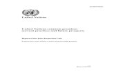 United Nations United Nations common premises: current ...€¦ · United Nations common premises: current practices and future prospects Common premises and common services have