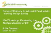 Energy Efficiency & Industrial Productivity · Energy Efficiency & Industrial Productivity - Gaining through Saving ... Evaluating the Multiple Benefits of EE Julia Reinaud March