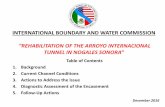 INTERNATIONAL BOUNDARY AND WATER COMMISSIONreaches of its tributaries Arroyo Cocodrilo and Arroyo S/N (Unnamed) in the study area, including the reach located in the U.S. from the