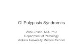 GI Polyposis Syndromes · Juvenile Polyposis Syndrome • Autosomal dominant • First or second decade of life • Colon predominating 50-200 polyps • May inolve upper GI tract