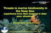 Threats to marine biodiversity in the Deep Sea · Phylum Porifera - Sponges Phylum Cnidaria . Class Anthozoa . Order Actiniaria – Anemones Order Alcyonacea - Soft corals Order Gorgonacea