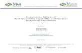 Comparative Analysis of Beef Traceability Capabilities and ... · post-slaughter capabilities, resulting in full chain traceability. As found from a study into Australia’s National