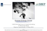 GBEP Working Group on Capacity Building Bioenergy Week ... · Michael Liebreich, Bloomberg New Energy Finance – YouTube Febr. 18 th 2014 4 ... – Business case evaluation; quantitative