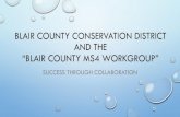 Blair County Conservation District and the “MS4 Workgroup” · • mcm#2 – public participation and involvement • mcm#3 – illicit discharge detection and elimination •