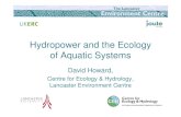 Hydropower and the Ecology of Aquatic Systems · Impacts on river flows and aquatic ecology, including fish migration and oxygen depletion Creation of aquatic habitat (new pools)