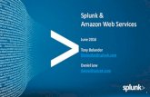 Splunk & Amazon Web Services for AWS.pdf · Public Cloud Platform Support (Apps / API / SDKs) Enterprise Scalability Universal Indexing Answer Any Question Developer Platform Report