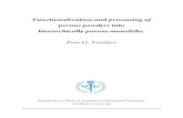 Functionalization and processing of porous powders into ... · Doctoral Thesis in Inorganic Chemistry 2009 Department of Physical, Inorganic and Structural Chemistry Stockholm University
