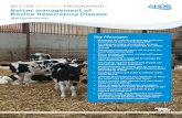 RETURNS PR OGRAMME Better management of Bovine … · reduce pneumonia should therefore target improving cattle immunity and reducing stress, as well as treating any concurrent disease
