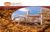 PPM Global Capability Statement 2016 Bppmglobal.net/wp-content/uploads/PPM-Global-Metallurgical-Capabil… · PPM Global Pty Ltd. | Process and Metallurgy Solutions | Capability Statement