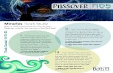 PASSOVER - NSS Beth El · 2020. 3. 27. · Passover miracle, the parting of the Red Sea? PASSOVER >> III. How does Moses imagine the miracle playing out? >> How does God imagine the