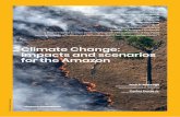 Climate Change: impacts and scenarios for the Amazon€¦ · Final report organized by Alana, APIB, Articulação dos Povos Indígenas do Brasil, ... In the Fifth IPCC report AR51.2,