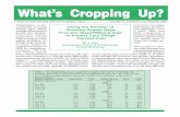 Using the Number of Growing Degree Days from the Tassel ...What's Cropping Up? Vol. 16 No. 4 7 Crop Management 3.0 bu/acre at a typical planting date (Sept.14) and a late planting