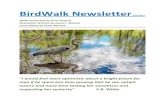 BirdWalk NewsletterSep 24, 2017  · pollution, air pollution, noise pollution, and destruction of habitat, are just a few examples of our destructive means. Fortunately, Magnolia