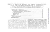 Vol. 31, U.S.A. Status of Bacterial Toxins and Their ... · BONVENTRE, LINCOLN, ANDLAMANNA procedureto use intact bacilli rather than culture filtrates for the purification oftype