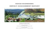 SOCIO-ECONOMIC IMPACT ASSESSMENT REPORT · 2019. 6. 10. · Socio-Economic Impact Assessment (SEIA) Tools for CBPPL Woodland Operations i Executive Summary: This Socio-Economic Impact